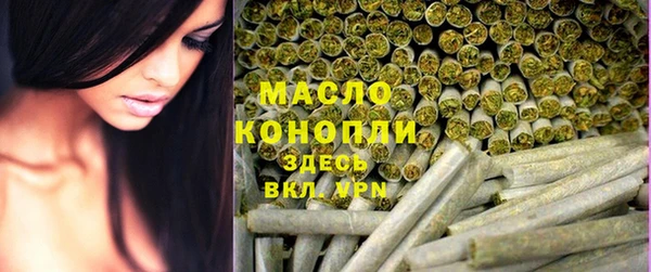 гашик Верея
