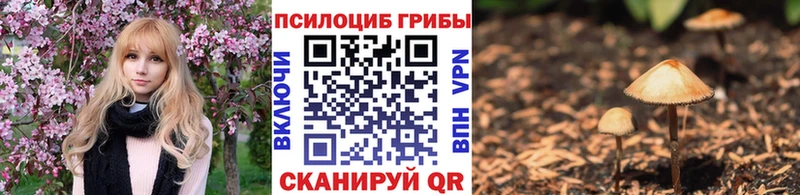 Купить  Верхоянск  Галлюциногенные грибы ЛСД 